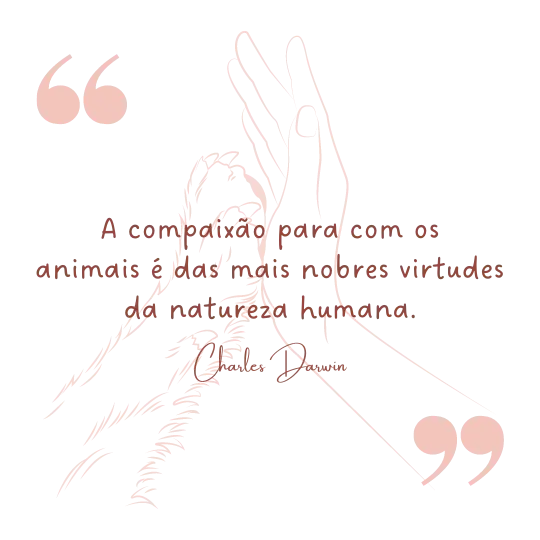 Frase do Darwin sobre animais