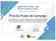 Certificado 01 - Ken Ramirez