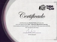 Certificado 07 - Grisha Stewart