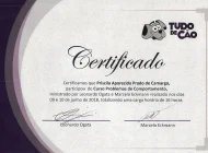 Certificado 10 - Leonardo Ogata