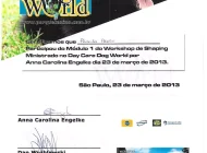 Certificado 13 - Anna Engelke